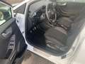 Ford Puma Titanium Mild Hybrid ! TOP ANGEBOT ! Blanc - thumbnail 8