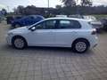 Volkswagen Golf VIII 1.0 TSI*PDC*LED*Climatronic*APP*DAB+ LED Weiß - thumbnail 6