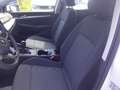 Volkswagen Golf VIII 1.0 TSI*PDC*LED*Climatronic*APP*DAB+ LED Weiß - thumbnail 9