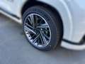 KGM Actyon Turbo Premium AWD Aut. Weiß - thumbnail 8