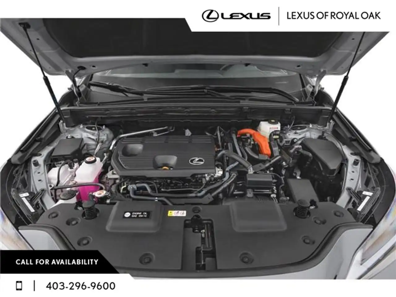 Lexus NX photo Lexus NX