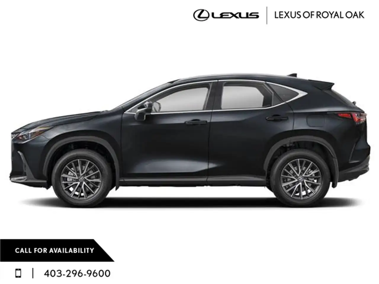 Lexus NX photo Lexus NX