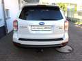 Subaru Forester Exclusive 2.0 D AWD AHK LED SHZ Standhe Weiß - thumbnail 4