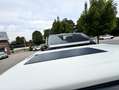 Volkswagen Salty Blue Blanc - thumbnail 28