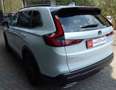 Honda CR-V CR-V 2.0 hev Elegance Bianco - thumbnail 5