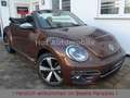 Volkswagen Beetle 1.2TSI DSG Kamera Xenon Navi 1.Hand Brun - thumbnail 1