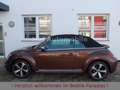 Volkswagen Beetle 1.2TSI DSG Kamera Xenon Navi 1.Hand Brun - thumbnail 8