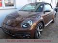 Volkswagen Beetle 1.2TSI DSG Kamera Xenon Navi 1.Hand Brun - thumbnail 7