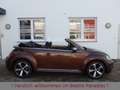 Volkswagen Beetle 1.2TSI DSG Kamera Xenon Navi 1.Hand Brun - thumbnail 3