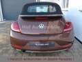Volkswagen Beetle 1.2TSI DSG Kamera Xenon Navi 1.Hand Brun - thumbnail 6