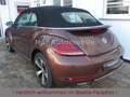 Volkswagen Beetle 1.2TSI DSG Kamera Xenon Navi 1.Hand Brun - thumbnail 4