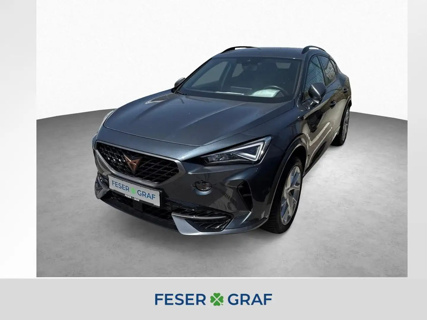 CUPRA Formentor 1.5 TSI 7-Gang DSG/FaPa XL/RFK/SHZ Grijs - 1
