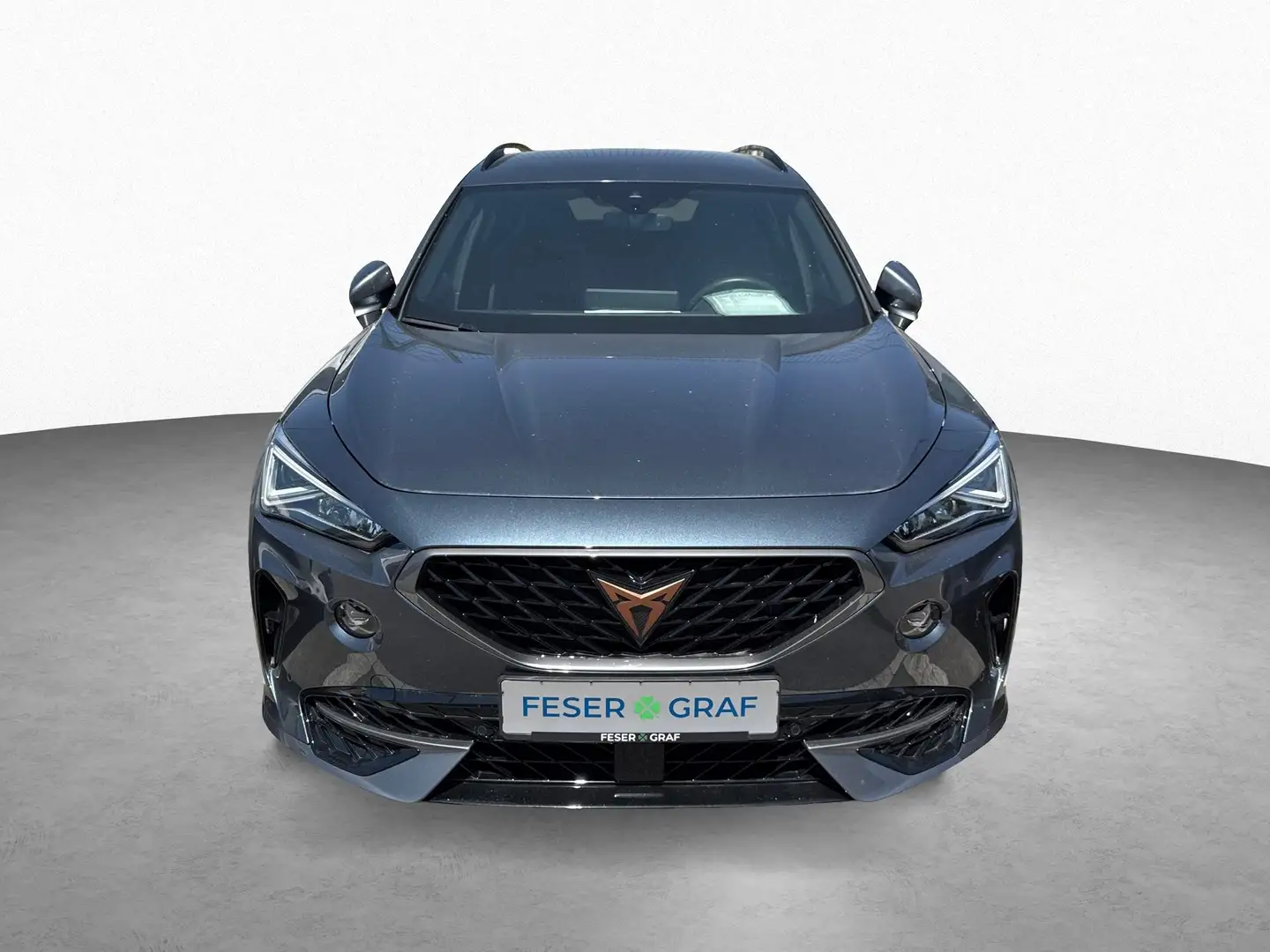 CUPRA Formentor 1.5 TSI 7-Gang DSG/FaPa XL/RFK/SHZ Grijs - 2