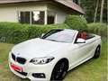 BMW 220 M SPORT - HARMAN-KARDON - NAVI Blanco - thumbnail 6