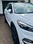 Hyundai TUCSON 2.0 CRDi 4WD Automatik Premium Weiß - thumbnail 19