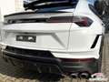 Lamborghini Urus Performante |Carbon|Full ADAS|Bang&Oluf|23" Weiß - thumbnail 14