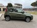 Fiat Panda 1.3 MJT S&S 4X4 / SENSORI E KIT 5 POSTI Grün - thumbnail 7