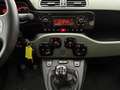 Fiat Panda 1.3 MJT S&S 4X4 / SENSORI E KIT 5 POSTI Grün - thumbnail 14
