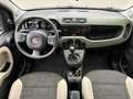 Fiat Panda 1.3 MJT S&S 4X4 / SENSORI E KIT 5 POSTI Grün - thumbnail 13