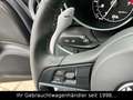 Alfa Romeo Giulia 2.0 Turbo Super *BI-XENON/KAMERA/MEMORY* Grau - thumbnail 18
