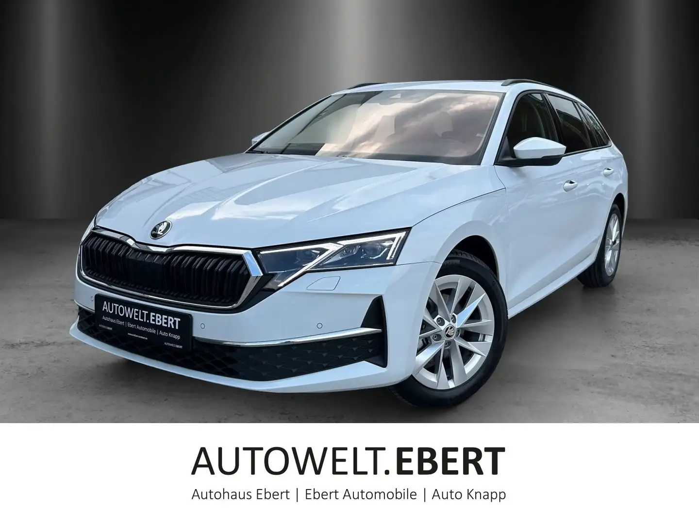 Skoda Octavia 2.0 TDI DSG Selection/AHK/PANO-D/KAMERA/ Blanco - 1