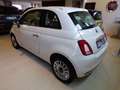 Fiat 500 1.2 Lounge 69cv my20 Bianco - thumbnail 6