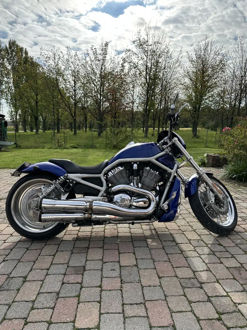 Harley-Davidson VRSC V-Rod Custom - 1