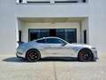 Ford Mustang SHELBY GT500 Gris - thumbnail 25