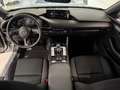 Mazda 3 Skyactiv 2.5 l G 140 PS 6MT Homura Weiß - thumbnail 16