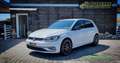 Volkswagen Golf 7 - 1.6 TDI 115 CV 5p. Business BlueMot Bianco - thumbnail 1