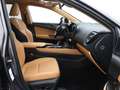 Lexus NX 450h+ AWD Luxury Line | 4x4 | Achteruitrijcamera | Clima Gris - thumbnail 29
