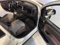 Fiat Panda 0.9 TwinAir Cross 4x4 Weiß - thumbnail 17