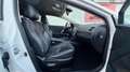 Toyota Avensis Executive Weiß - thumbnail 9
