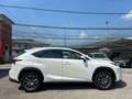 Lexus NX 300h Hybrid Business 197CV 4wd#PROMOFIN Bianco - thumbnail 4