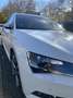 Skoda Superb Combi 2.0 TDI DSG L&K - thumbnail 4