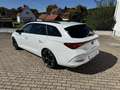 CUPRA Leon Sportstourer VZ 1.4 e-Hybrid FaPa-XL eHECK PANO Weiß - thumbnail 8