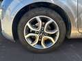 Kia Picanto 1.0 12V 5 porte Style Gris - thumbnail 14