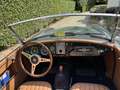 MG MGA Roadster Grün - thumbnail 5