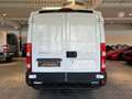 Iveco Daily Lang*Kühlkasten/Kühlwagen -0C.*Garantie Blanc - thumbnail 14