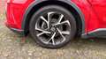 Toyota C-HR Hybrid Team Deutschland Rood - thumbnail 6