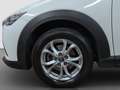 Mazda CX-3 CX-3 1.5d Evolve 2wd 105cv Blanc - thumbnail 24