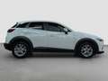 Mazda CX-3 CX-3 1.5d Evolve 2wd 105cv Bianco - thumbnail 10