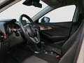 Mazda CX-3 CX-3 1.5d Evolve 2wd 105cv Bianco - thumbnail 11