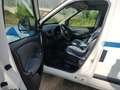Fiat Doblo Cargo Weiß - thumbnail 5