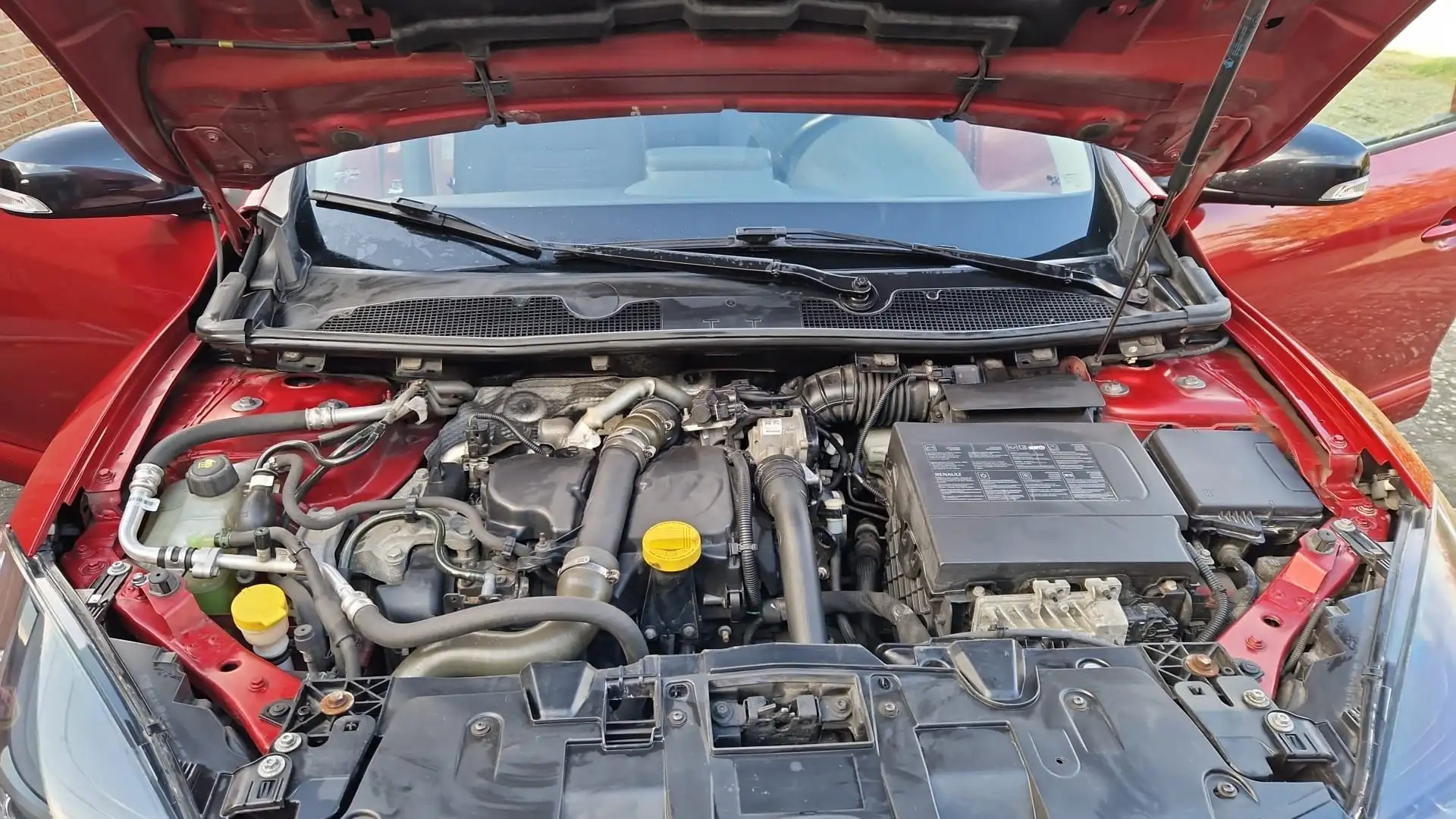 Renault Megane Limited Rot - 1