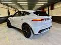 Jaguar E-Pace P 300e P300e Hybrid 309 ch R-Dynamic SE AWD BVA8 Weiß - thumbnail 6