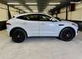 Jaguar E-Pace P 300e P300e Hybrid 309 ch R-Dynamic SE AWD BVA8 Weiß - thumbnail 2