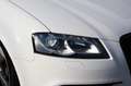 Audi RS3 Sportback 2.5TFSI Quattro Pro Line S-TRONIC -IBIS Bianco - thumbnail 36