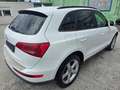 Audi Q5 2.0 TDI  quattro S-LINE AUTOMATIK Weiß - thumbnail 6