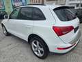 Audi Q5 2.0 TDI  quattro S-LINE AUTOMATIK Weiß - thumbnail 4